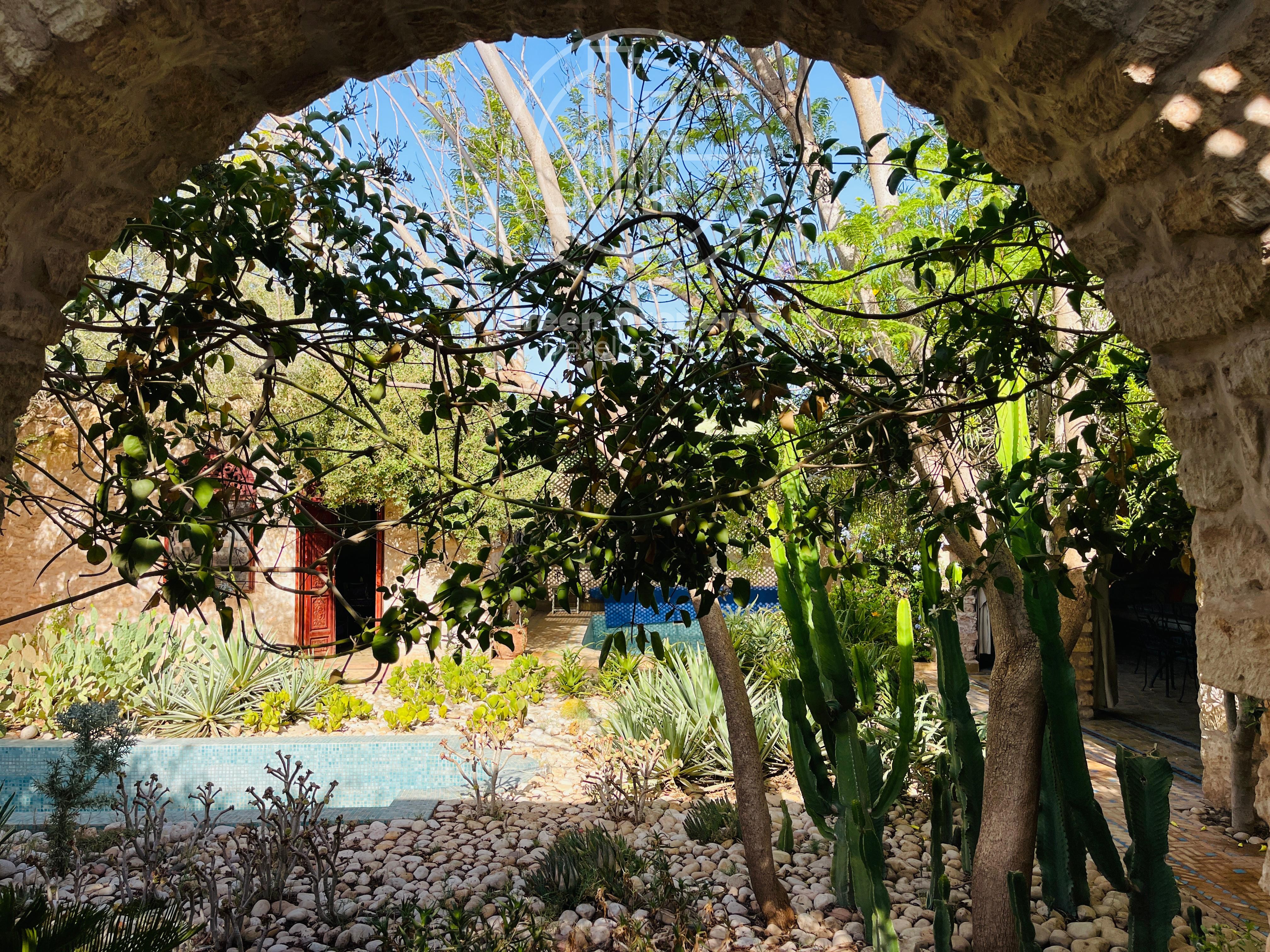 9e701c0a-cf9f-47a0-a7b8-b62343495977